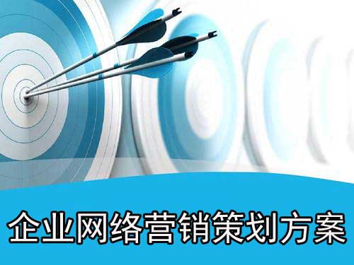 企業(yè)專用網(wǎng)絡(luò)推廣策劃方案