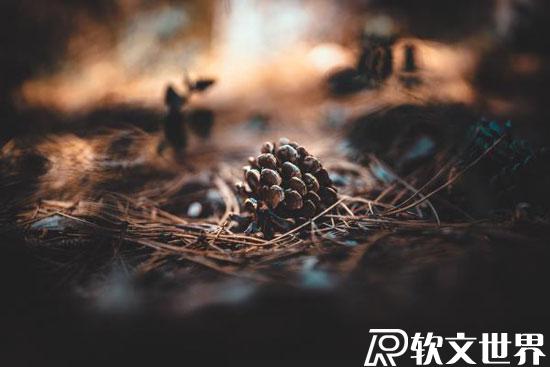 新聞源發文自己可以發嗎？