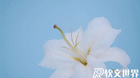 2022容易上熱門的文案（勵志、正能量）短句精選50條
