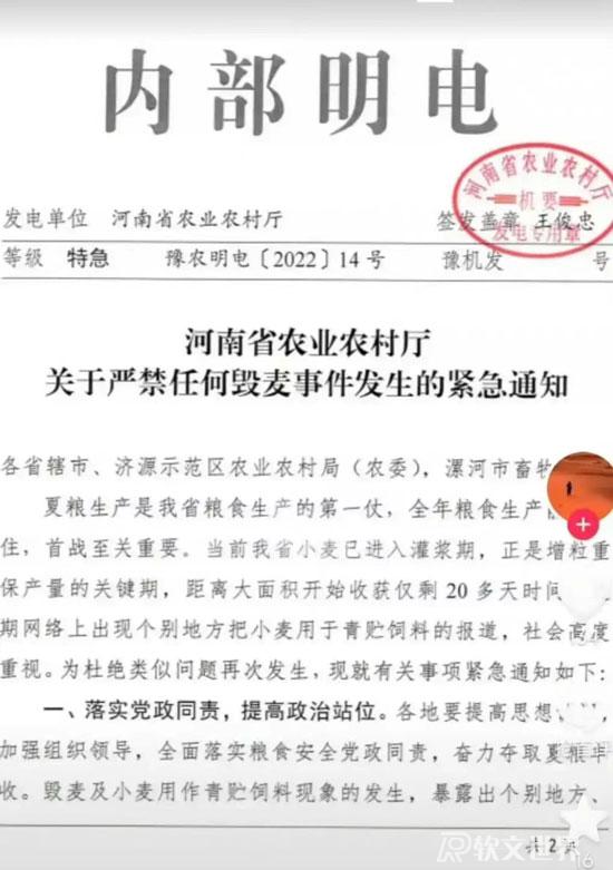 青麥收割事件解析：農民有權選擇割青麥作飼料嗎？